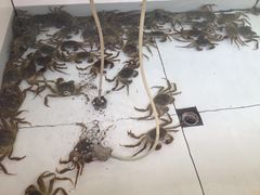 iphone_upload_pic-小陆莲花蟹园农家乐(莲花岛店)