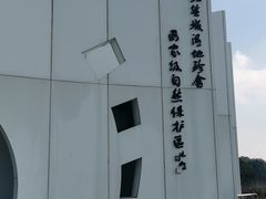 -盐城丹顶鹤湿地生态旅游区