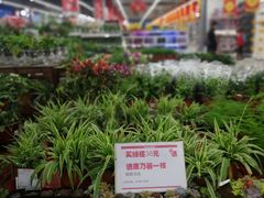 -大润发(南湖店)