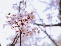 -大宁公园
