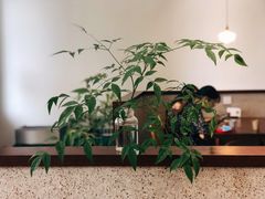 大堂-肥朵食堂(带梦胡同店)