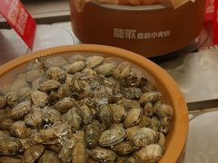 -龍歌自助小火锅(李沧丽达店)