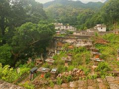 -雁南飞茶田景区