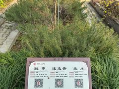 -马王堆汉墓遗址