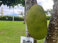 -三亚亚龙湾万豪度假酒店