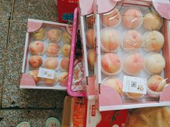 -南汇新场正宗水蜜桃采摘