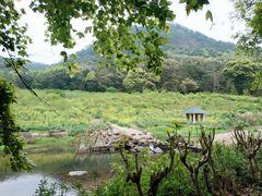 -广州市石门国家森林公园
