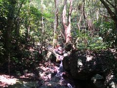 -七仙岭温泉国家森林公园
