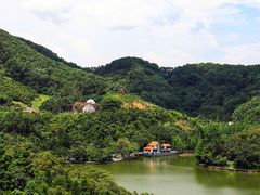 -深圳仙湖植物园-停车场