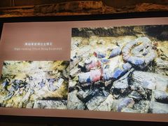 -秦始皇帝陵博物院(兵马俑)