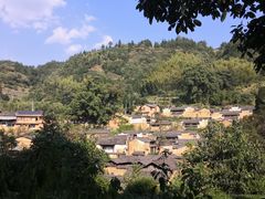 -杨家堂村