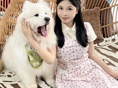 -星多哈·狗咖·拼豆·咖啡