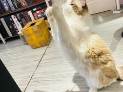 -剧狐剧本杀(徐汇1号店)