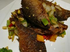 -大雄九老菜馆(南门桥店)