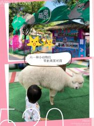 -萌宠亲子动物乐园(槐房万达店)