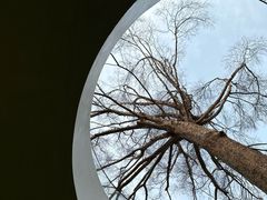 -后巷酒吧Back Alley(未来广场店)