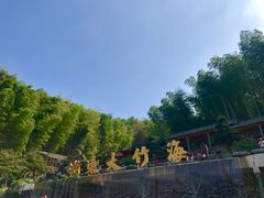 -宁波浙东大竹海景区