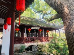 -上海醉白池公园