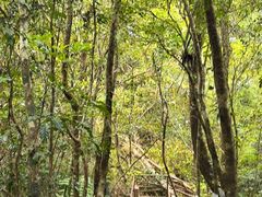 -海南热带雨林国家公园吊罗山景区