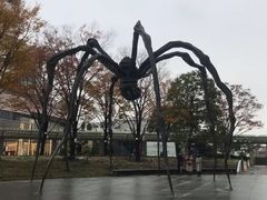 -六本木新城展望台(东京城市景观)