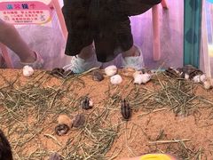-爱玩嘉年华(合川财富广场店)