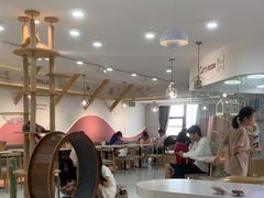 -喵园·猫主题咖啡厅·撸猫·猫咖(国贸店)