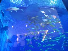 -成都浩海立方海洋公园