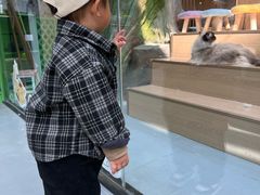 -宁波儿童公园(鄞州区)