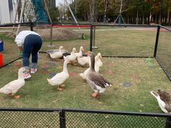 -上海长兴岛郊野公园