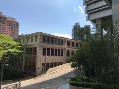 -香港大学