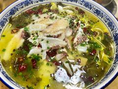 -源港渔村-中山脆肉鲩(博罗店)