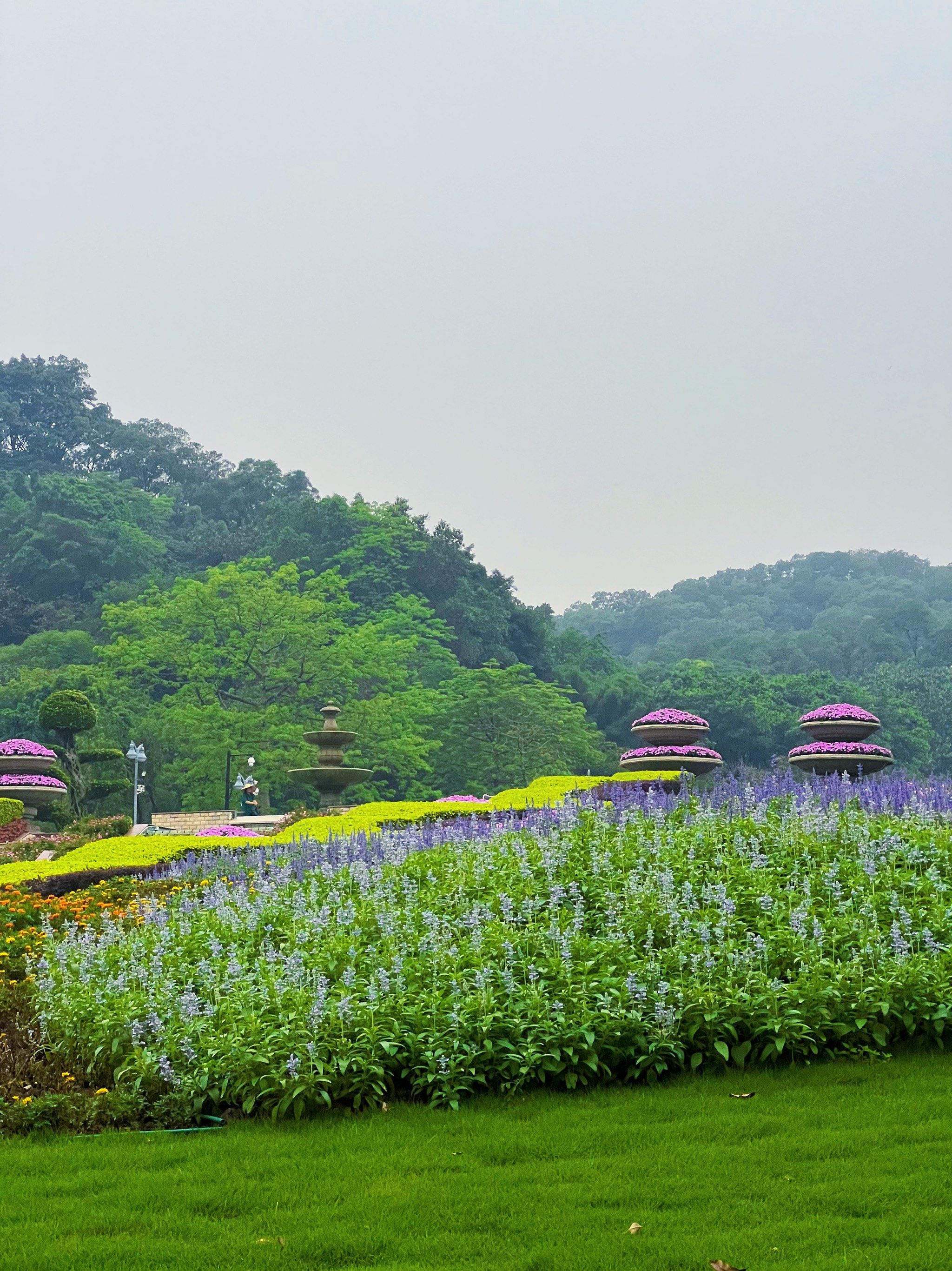 在广州,有自己的奈良花园