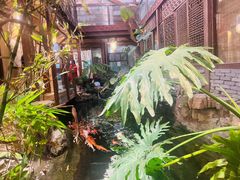 -聚缘堂·海鲜私房菜(松岭路店)
