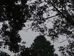 -忠山公园