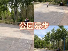 -森林公园(尖草坪区)