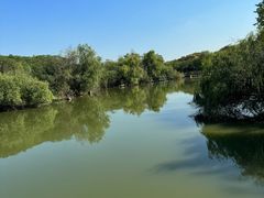 -上海吴淞炮台湾国家湿地公园