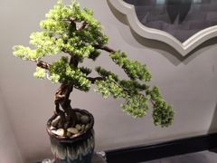 -孔乙己(后海店)