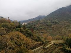 -临街徽菜馆·正宗黄山味