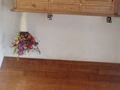 -金山农民画村-枫泾波兰倒置屋