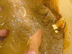 -100蛋泥浆浴