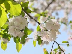 -海棠花溪(元大都城垣遗址公园)