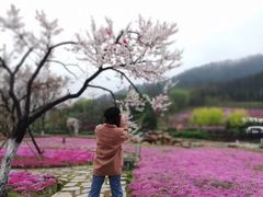 -棒棰岛宾馆景区