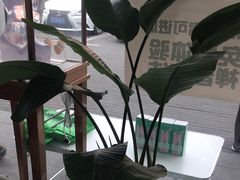 -自然之声助听器·呼吸机(康桥旗舰店)