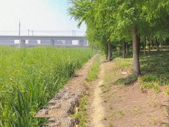 -阳澄湖半岛旅游度假区