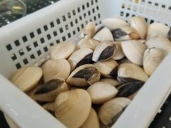 白贝一份-蚝专家