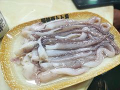 -顺德哥卜卜贝(旗舰店)