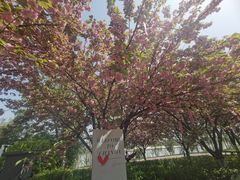 -灞河西岸滨河公园