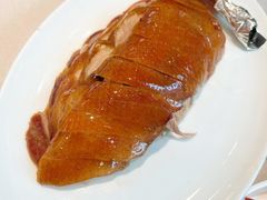 -普天和酒楼·新津菜·烤鸭(天津之眼店)