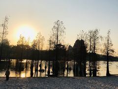 -南宁花花大世界景区