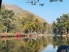 -西双版纳原始森林公园